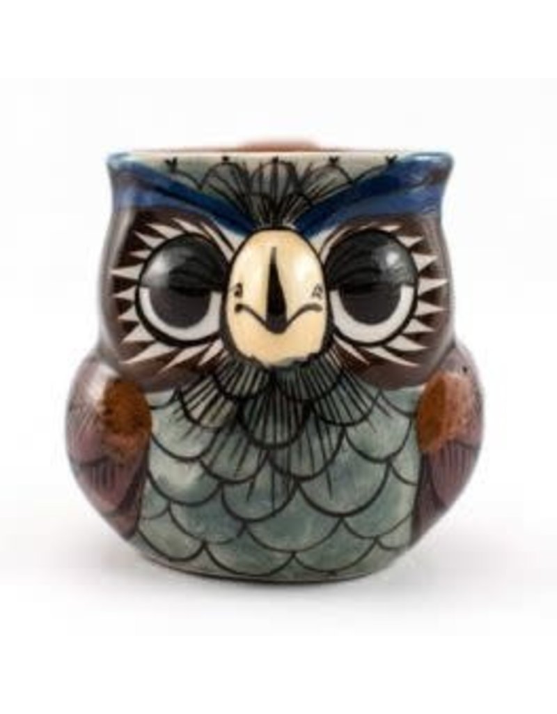 Guatemala Owl Mug