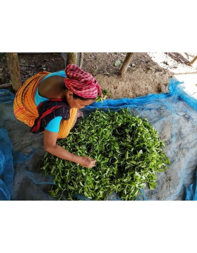India Green Tea Bags