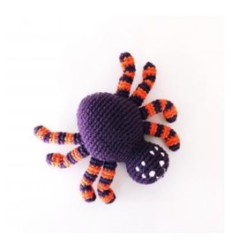 Bangladesh Spider Rattle