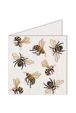 South Africa Pollinators Seed Card