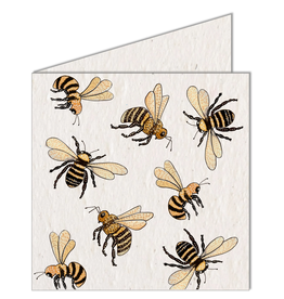 South Africa Pollinators Seed Card