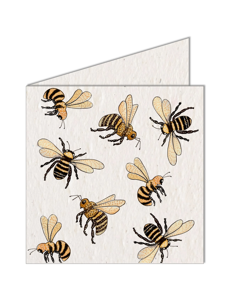 South Africa Pollinators Seed Card