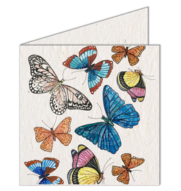 South Africa Growing Butterflies Seed Card