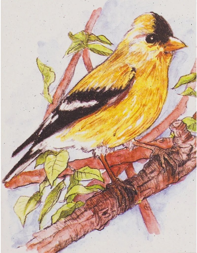 Sri Lanka Goldfinch Greeting Card