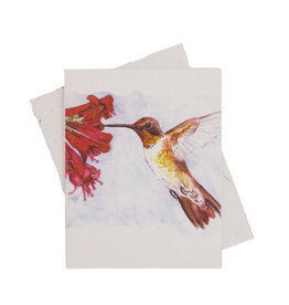 Sri Lanka Hummingbird Greeting Card