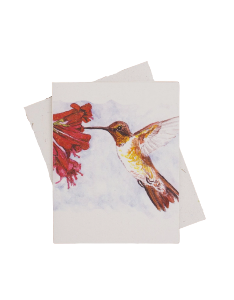 Sri Lanka Hummingbird Greeting Card