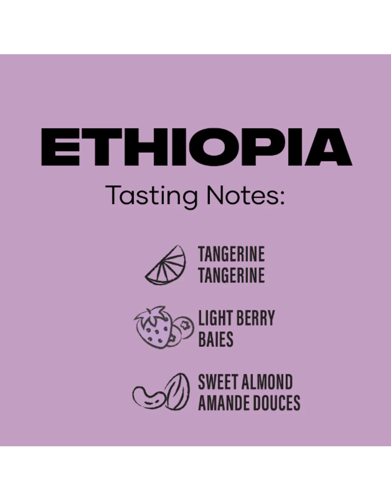 Ethiopia Ethiopia Medium Coffee Bean (5lb Box)