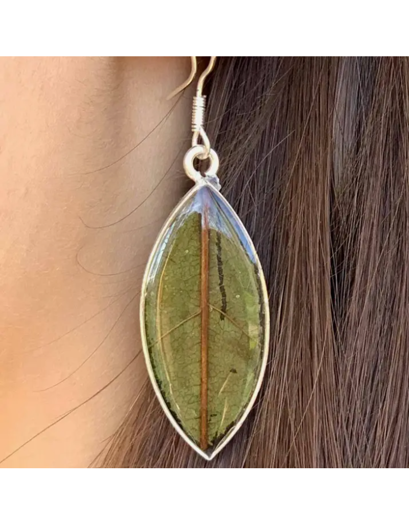 Mexico Pressed Botanical Leaves Drop Earrings Villages Calgary