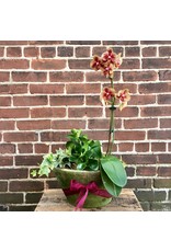 Large Orchid Planter