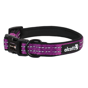 ALCOTT ALCOTT ADVENTURE COLLAR PURPLE