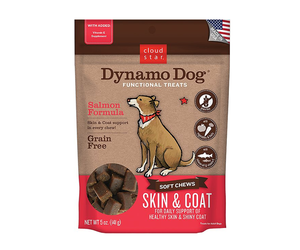 cloud star dynamo dog