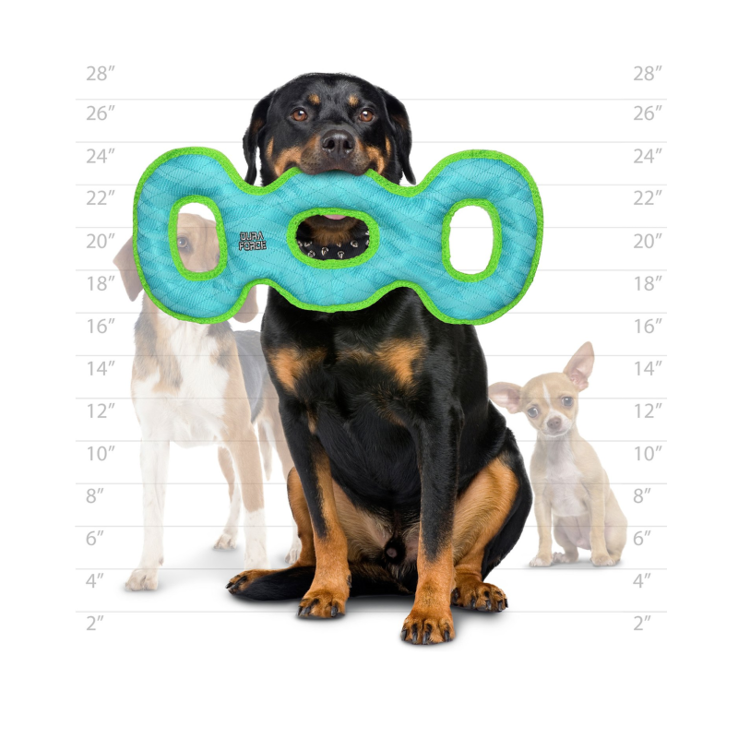 duraforce dog toy 10