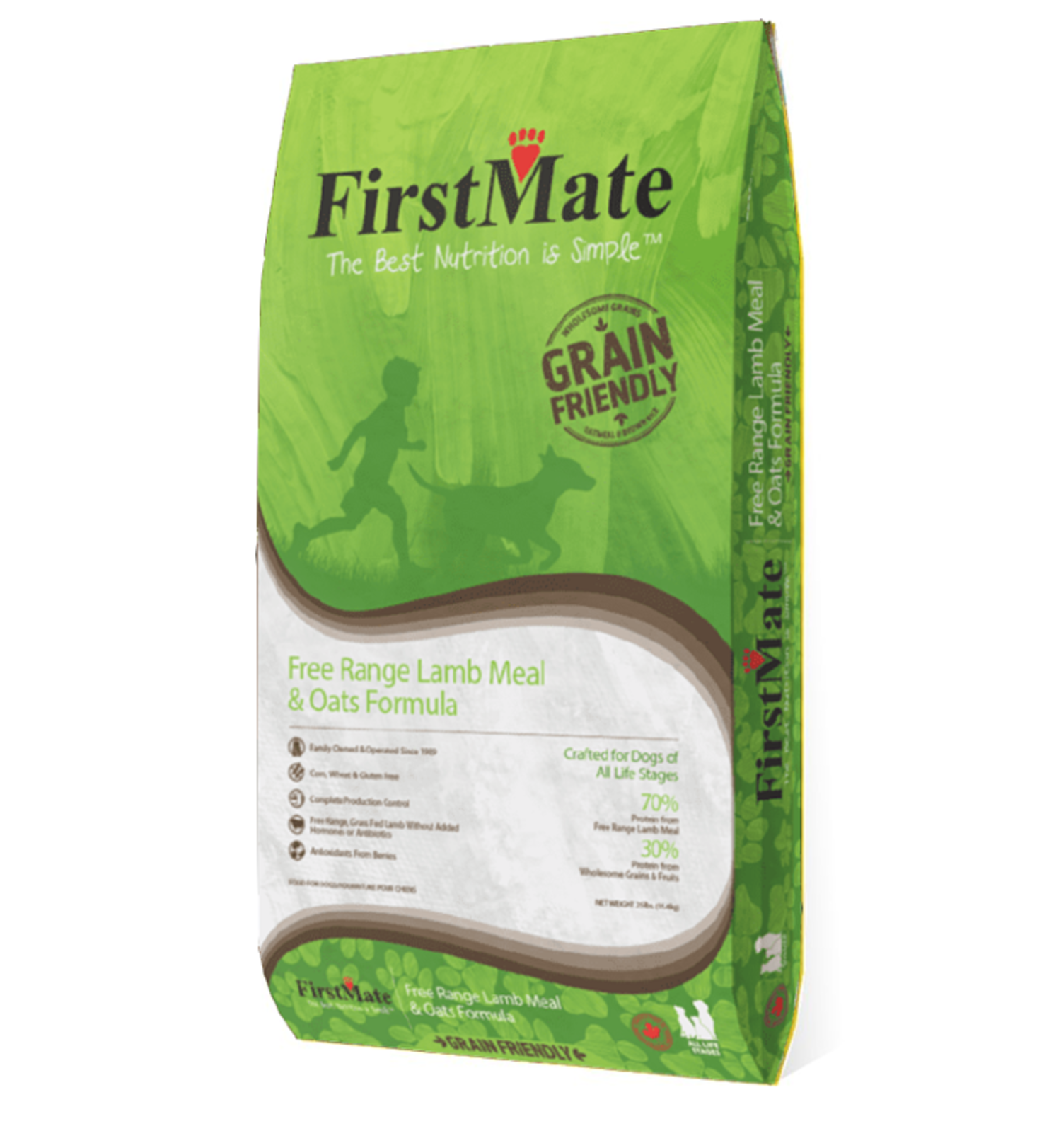 smartykat crazy cruiser