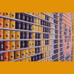 Canned Dog Food