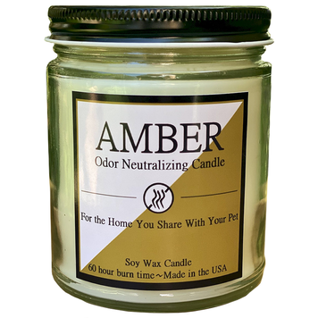 CANDLE CONSULTANTS CANDLE