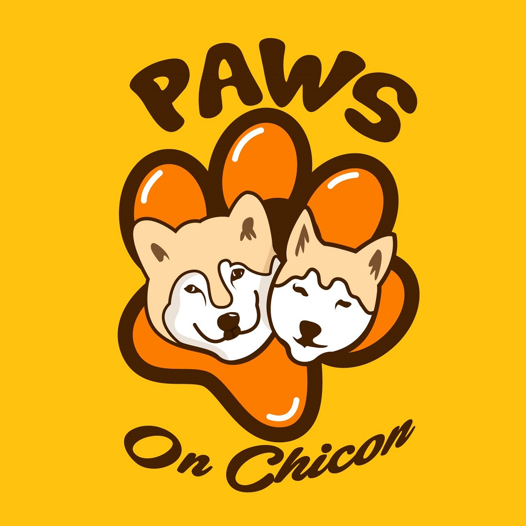 FUN FEEDER DOG BOWLS - Paws on Chicon