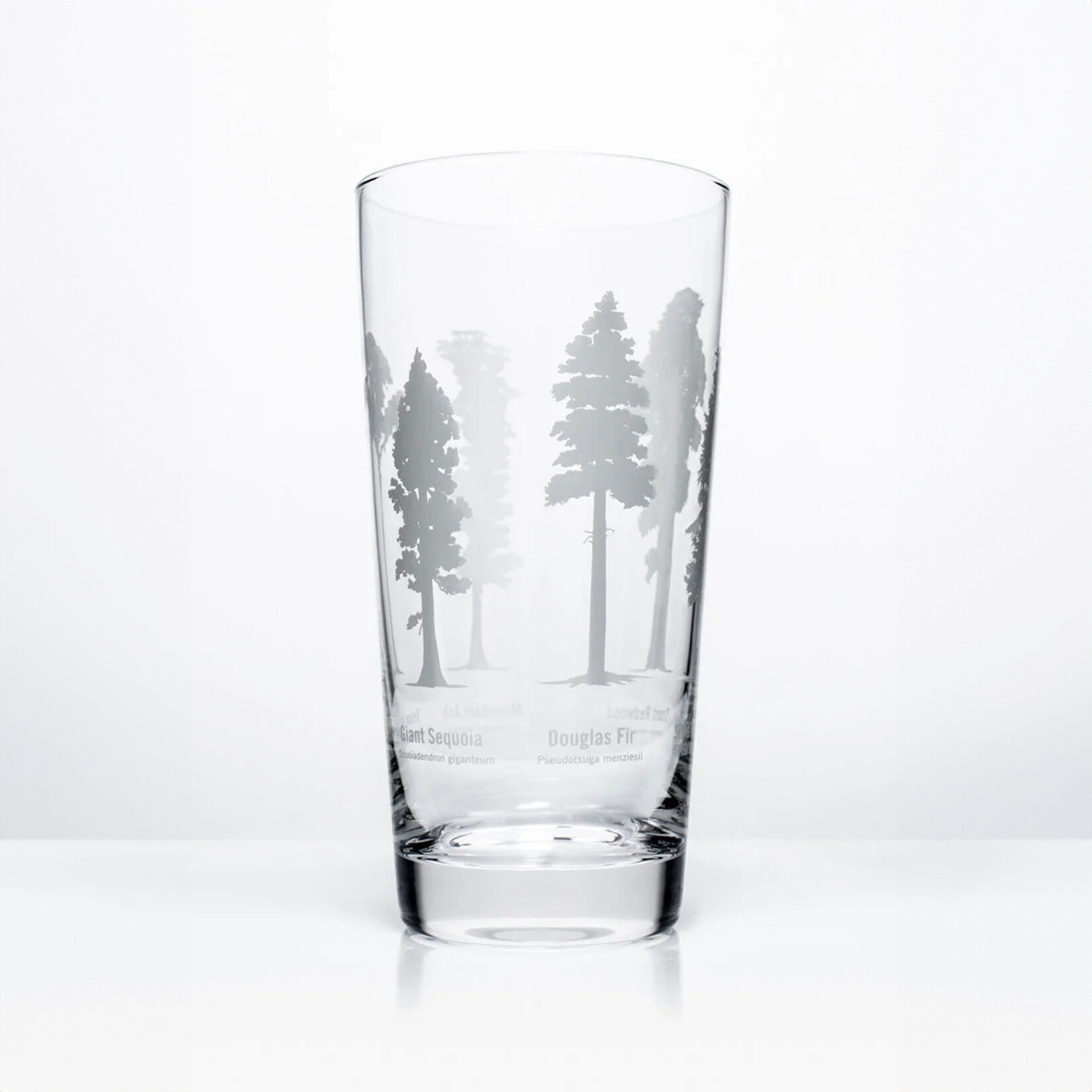 Cognitive Surplus SALE - Beer Glass 12oz - Forest Giants