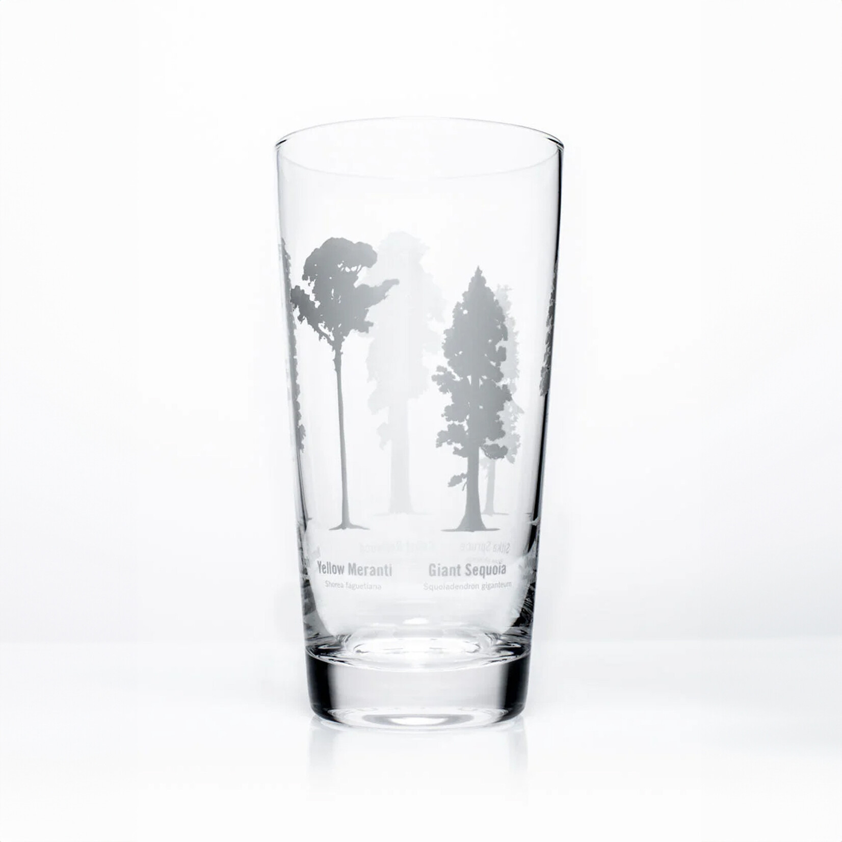 Cognitive Surplus SALE - Beer Glass 12oz - Forest Giants