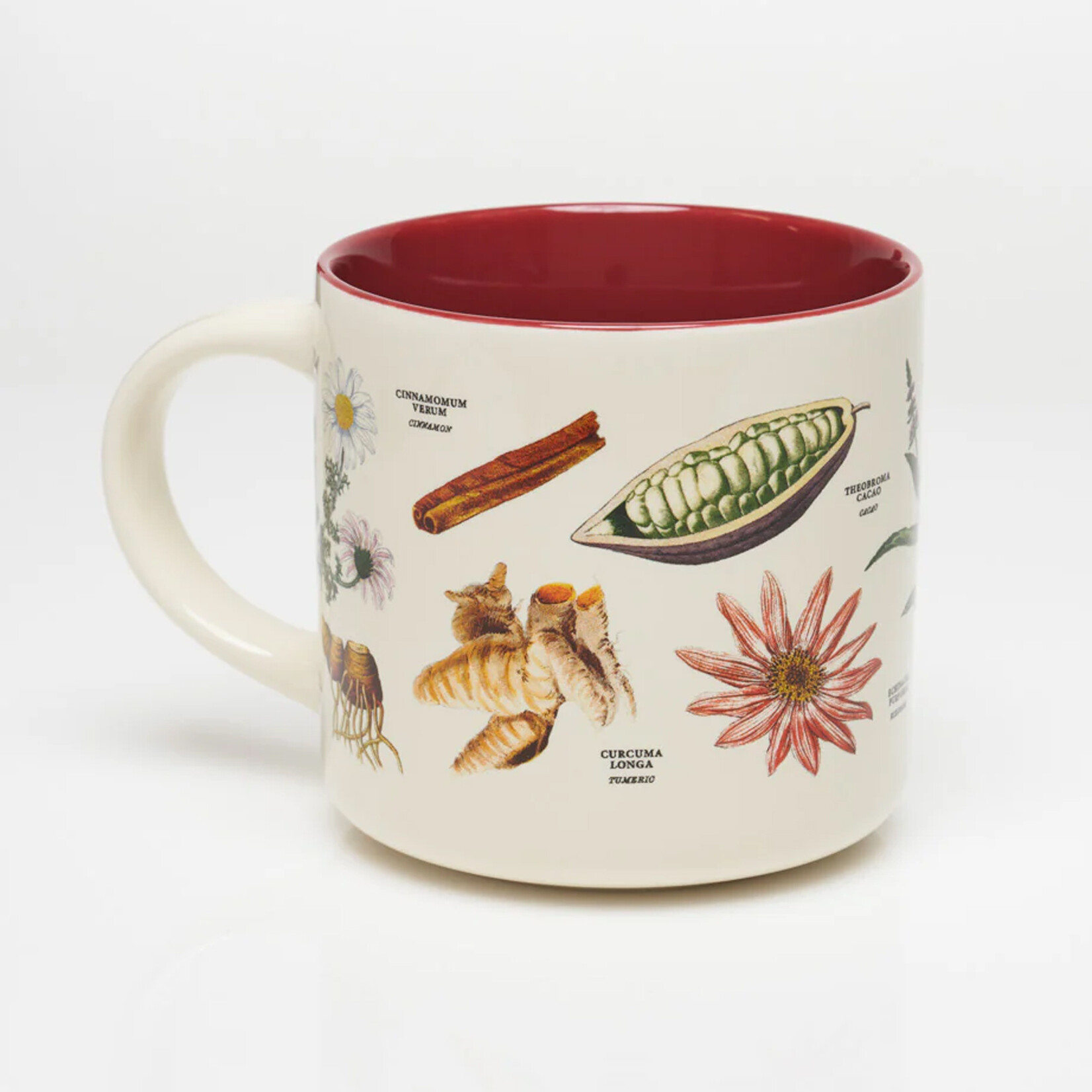 Cognitive Surplus Mug - The Botany of Tea
