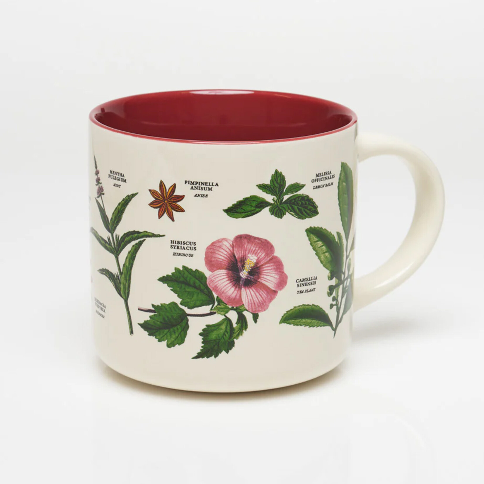 Cognitive Surplus Ceramic Mug - The Botany of Tea (15oz)