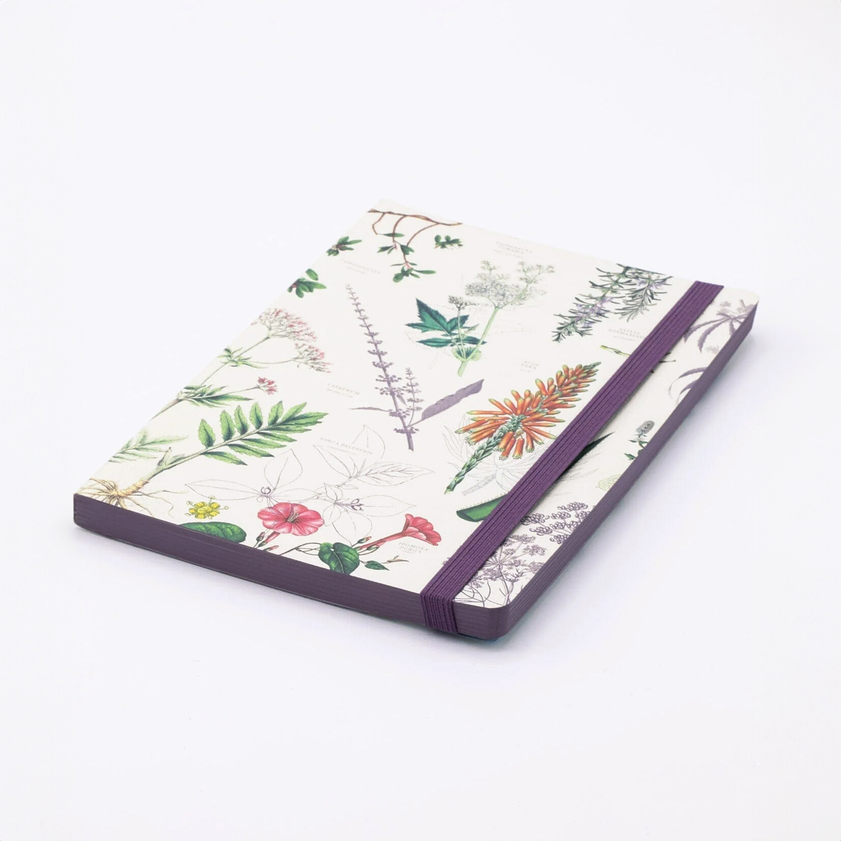 Cognitive Surplus Softcover A4 Journal - Medicinal Botany