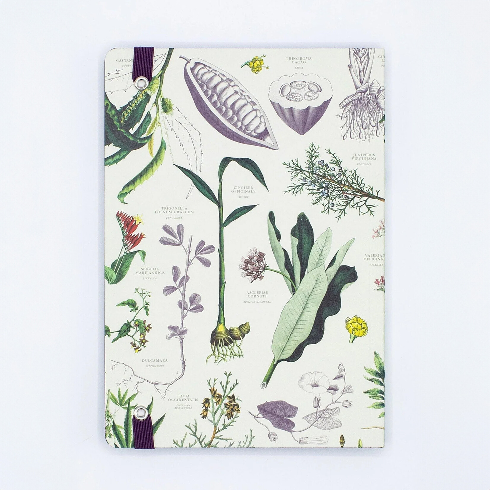 Cognitive Surplus Softcover A4 Journal - Medicinal Botany
