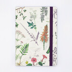 Cognitive Surplus Softcover A4 Journal - Medicinal Botany