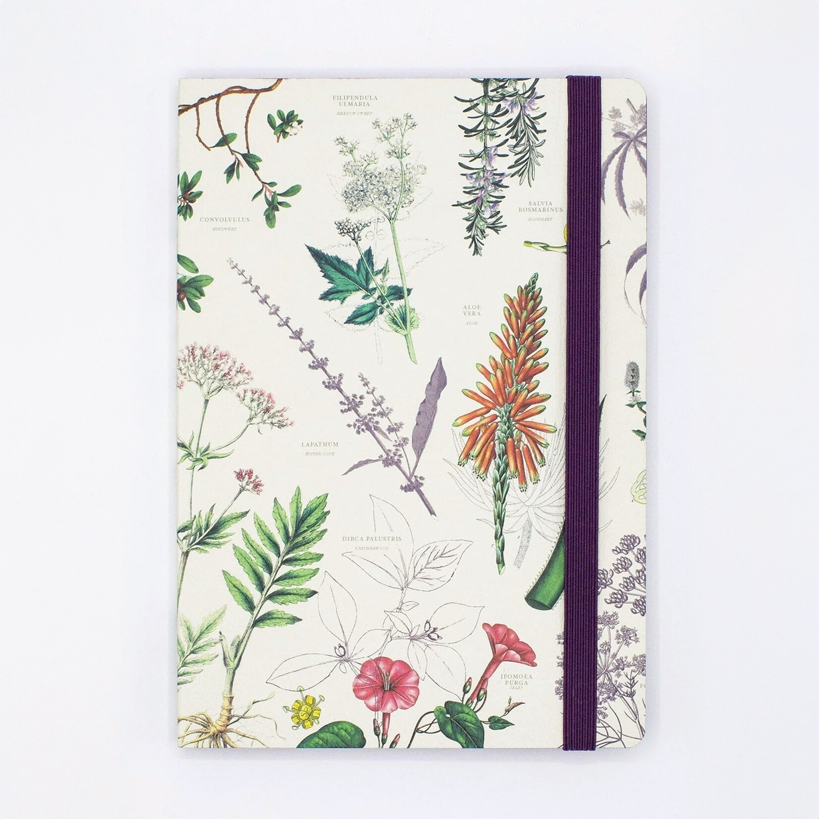 Cognitive Surplus Softcover A4 Journal - Medicinal Botany