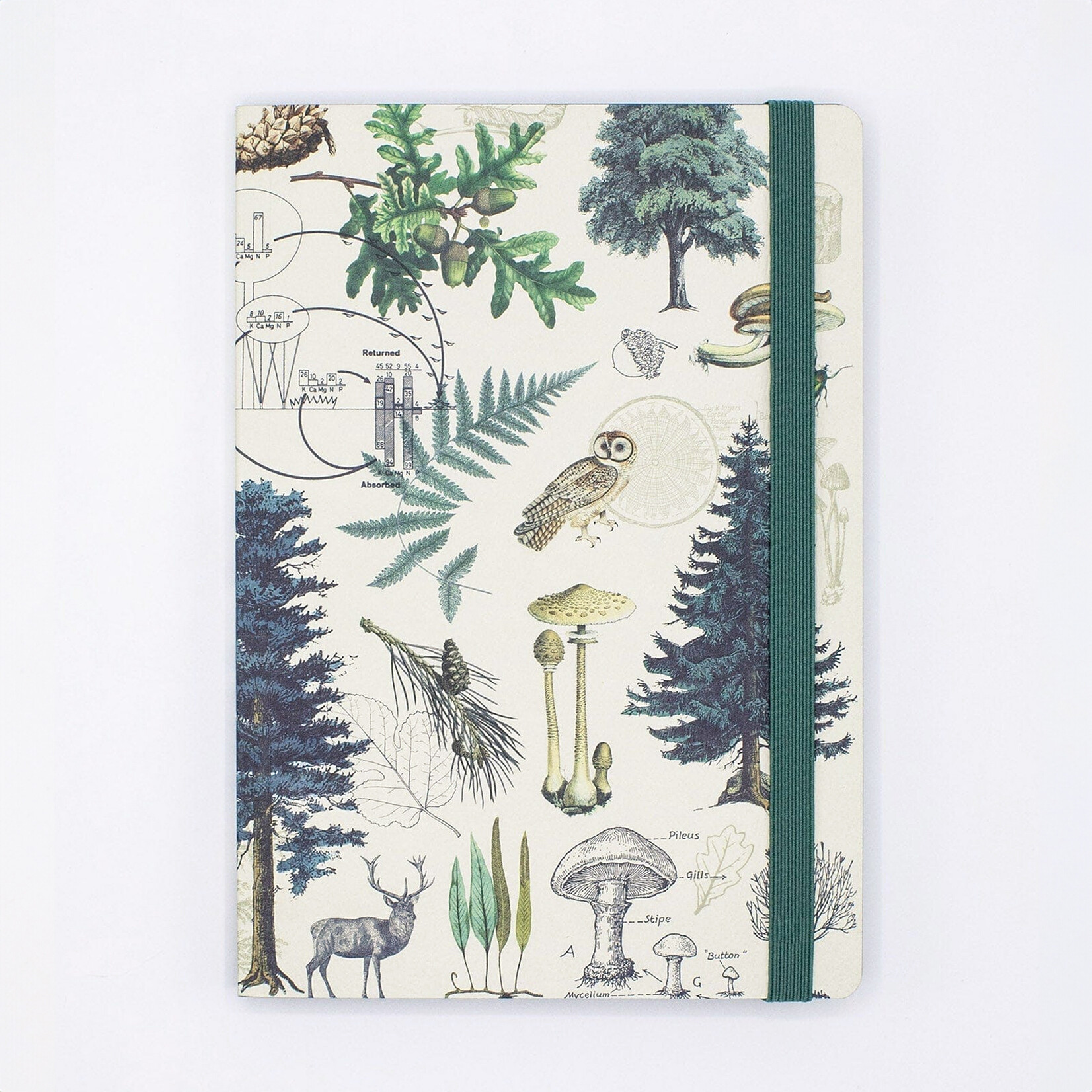 Cognitive Surplus Softcover A4 Journal - ForestSoftcover A4 Journal - Into the Woods
