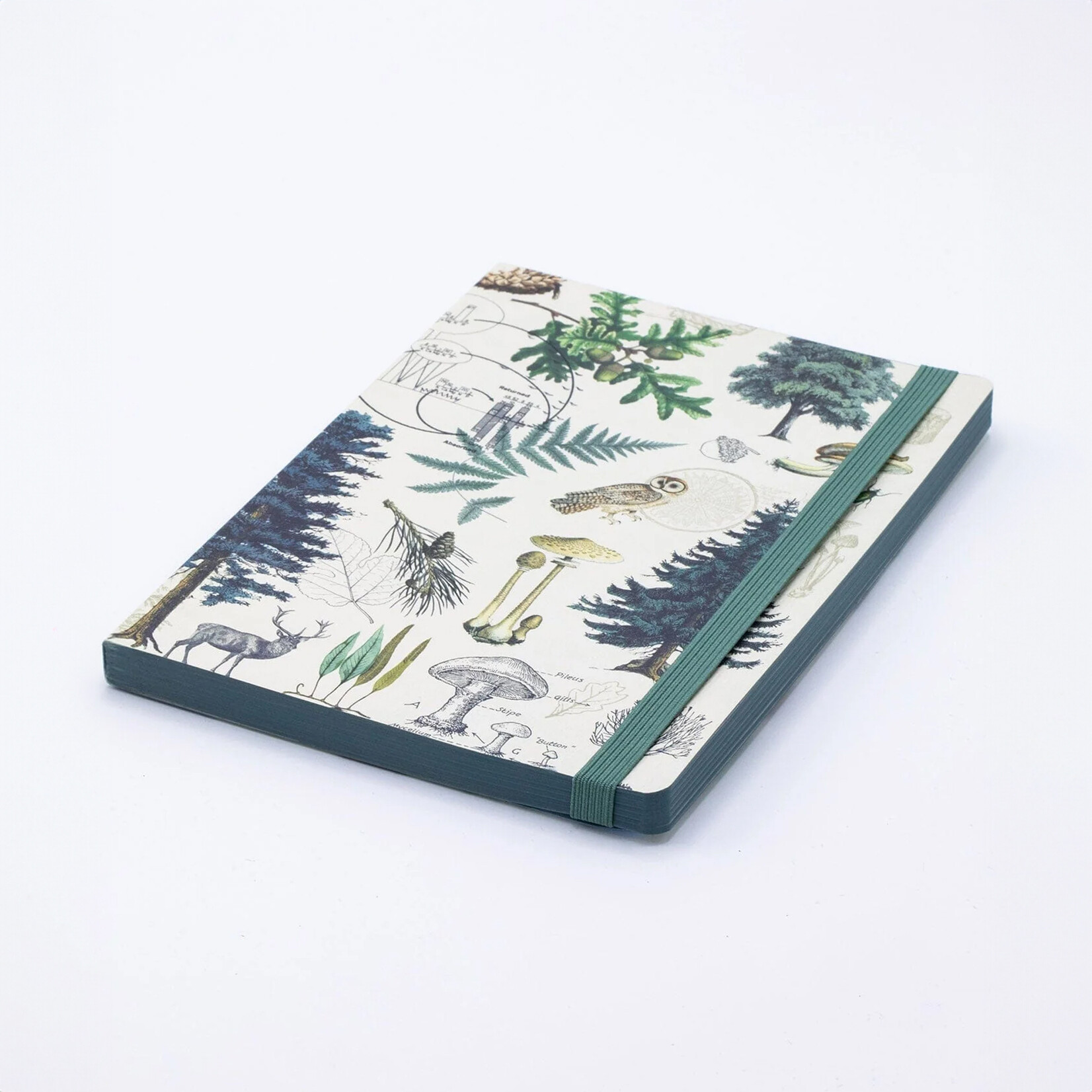 Cognitive Surplus Journal - Forest