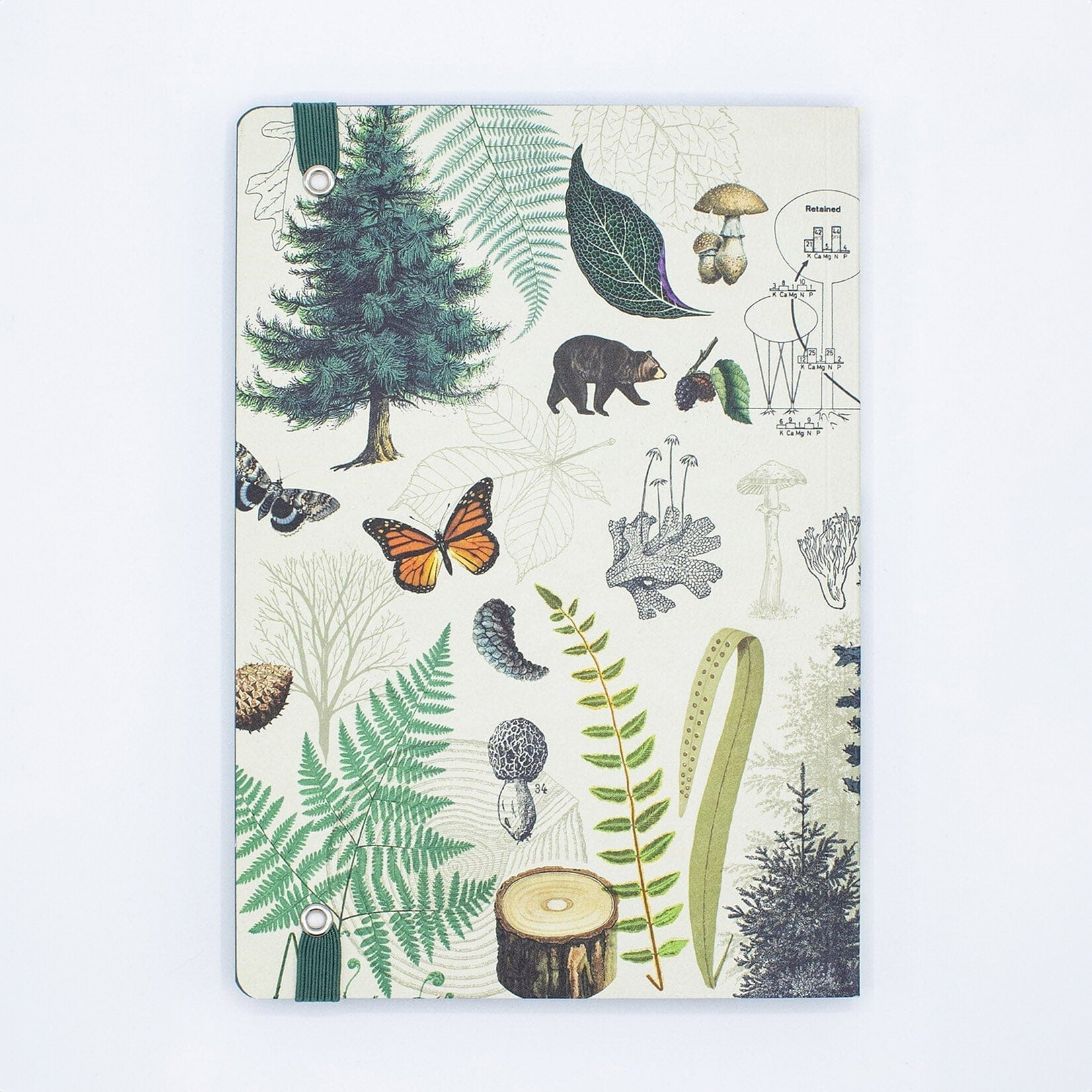 Cognitive Surplus Softcover A4 Journal - ForestSoftcover A4 Journal - Into the Woods