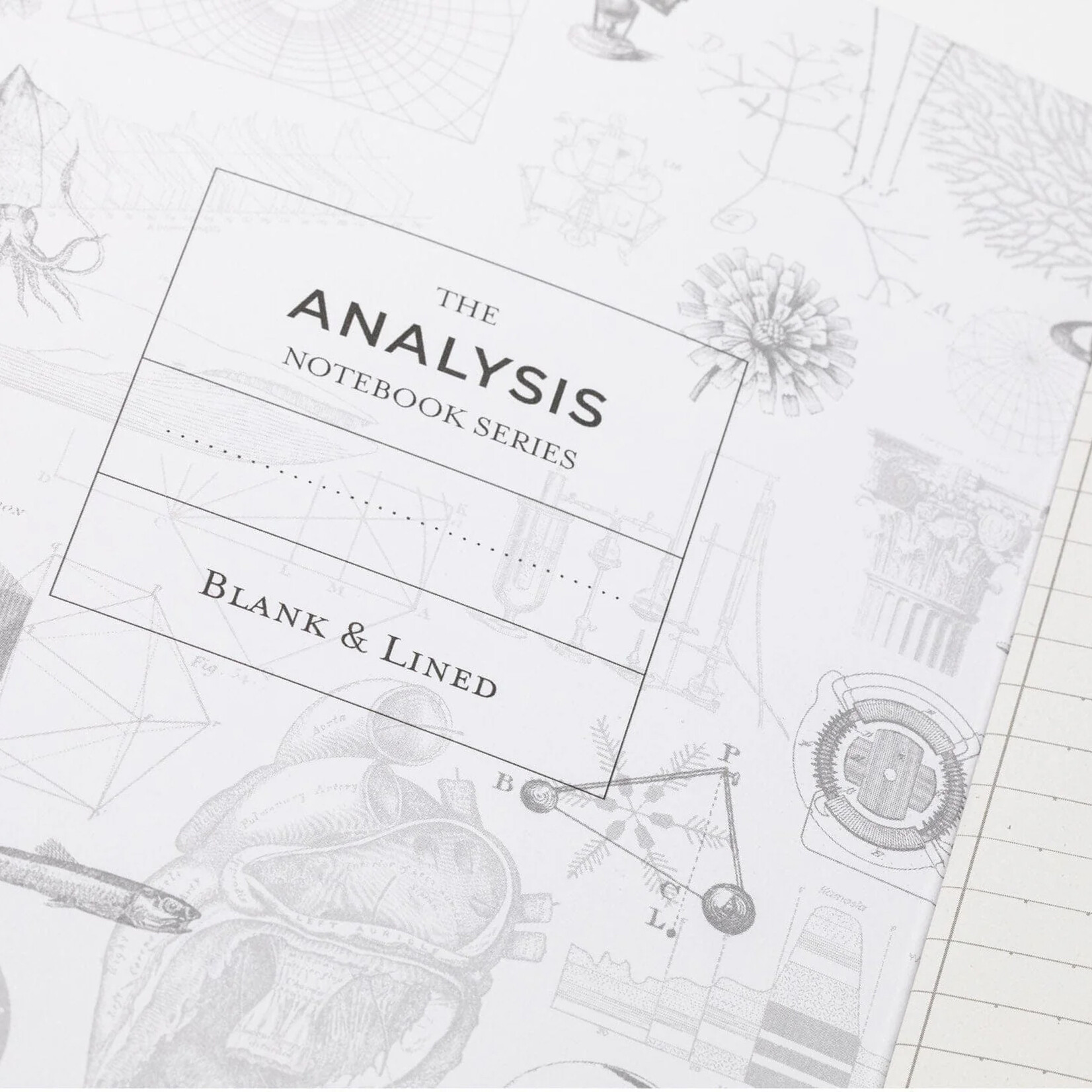 Cognitive Surplus Journal - Forest