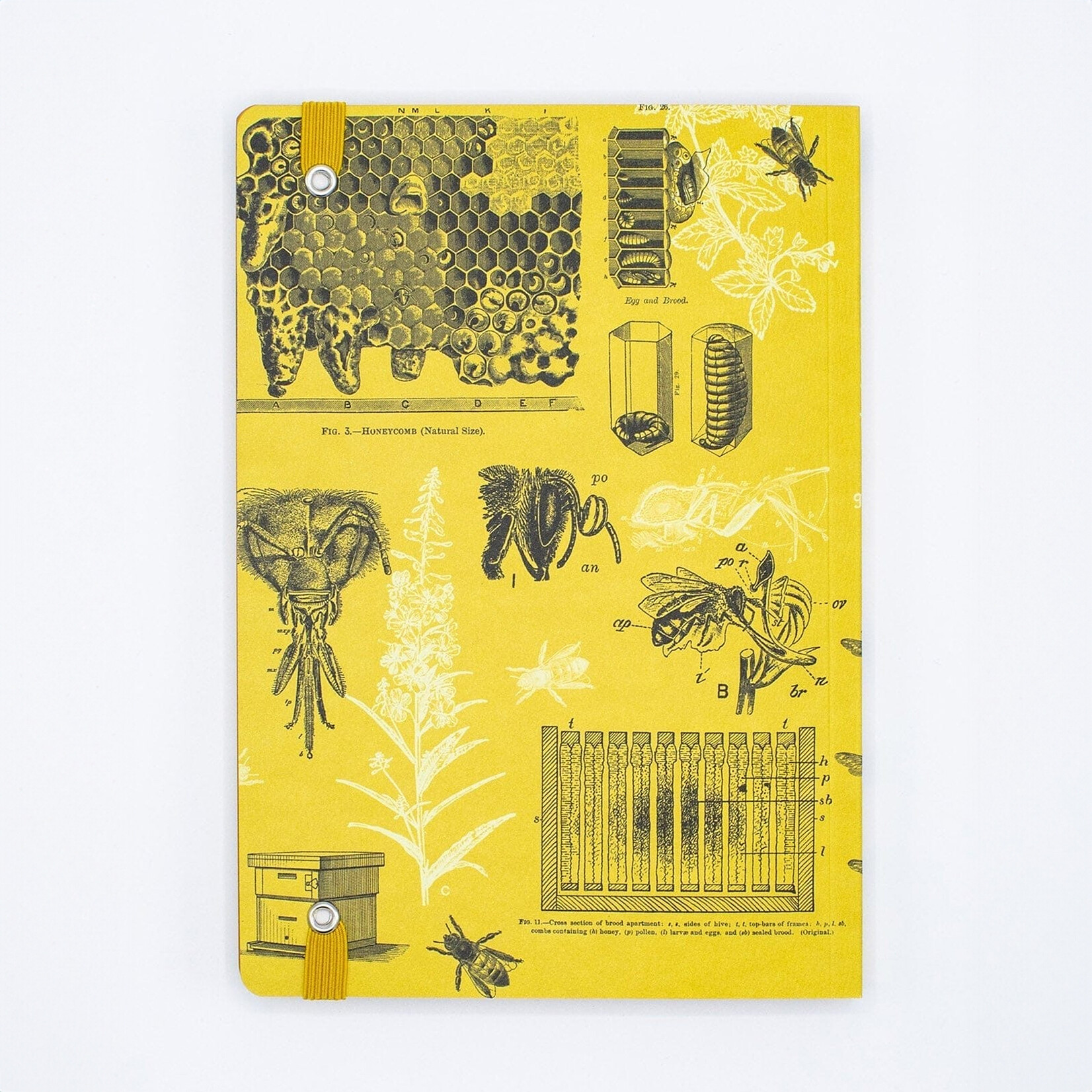 Cognitive Surplus Journal - Honey Bees