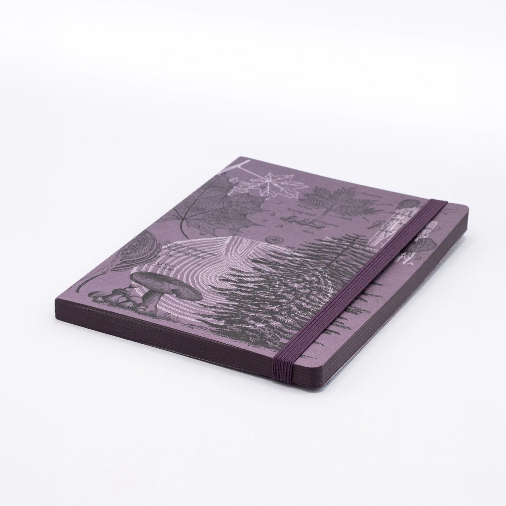 Cognitive Surplus Softcover A4 Journal - Forest At Dusk