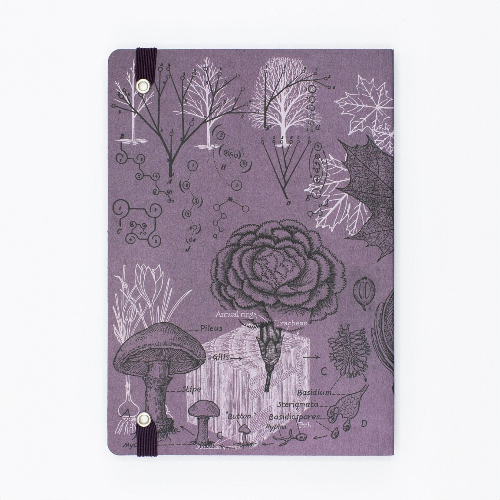 Cognitive Surplus Softcover A4 Journal - Forest At Dusk