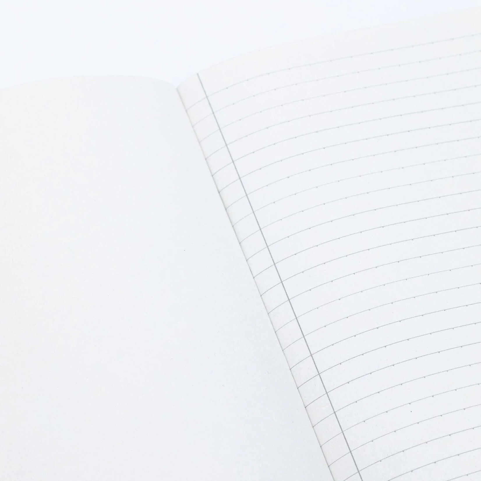 Cognitive Surplus Journal - Forest At Dusk