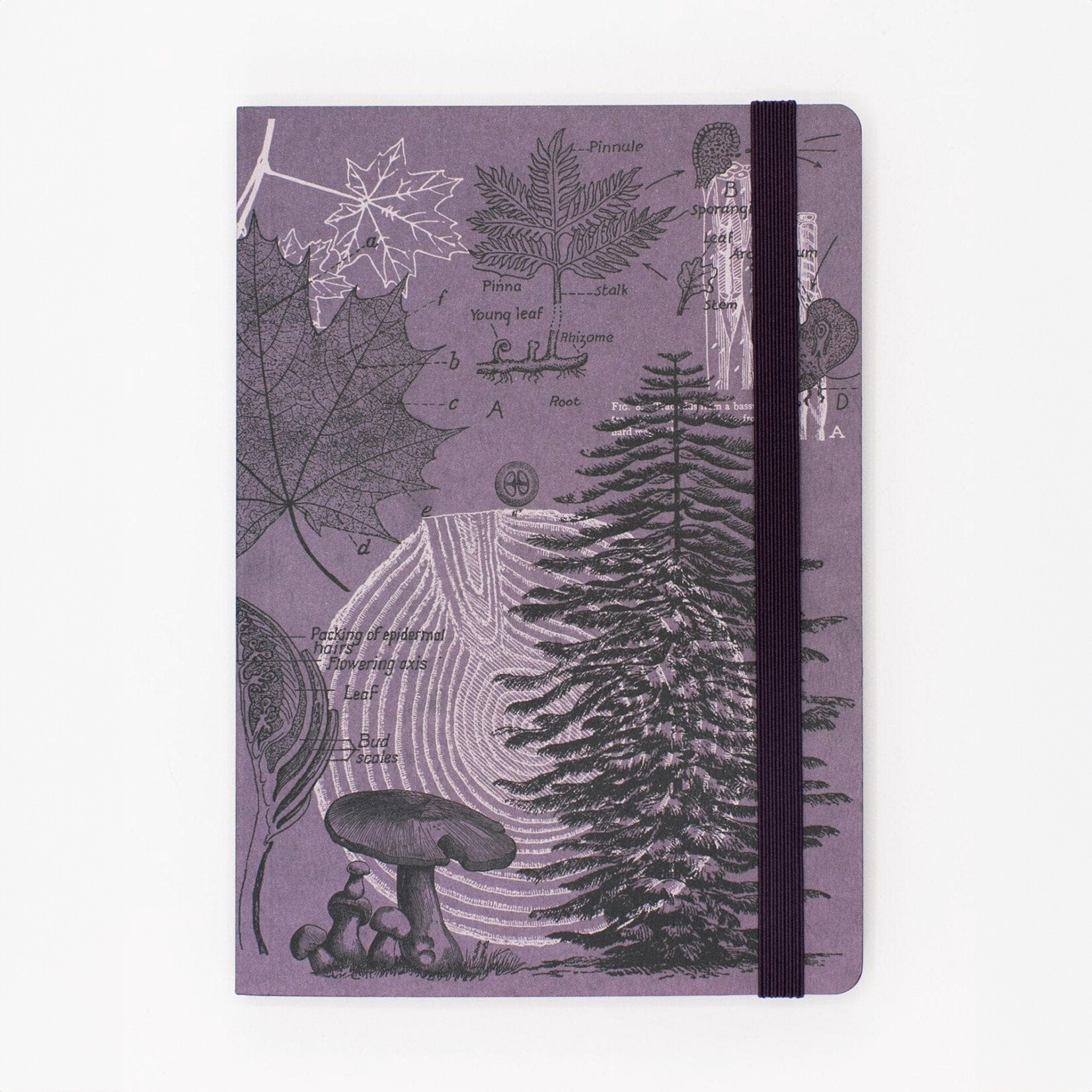 Cognitive Surplus Softcover A4 Journal - Forest At Dusk