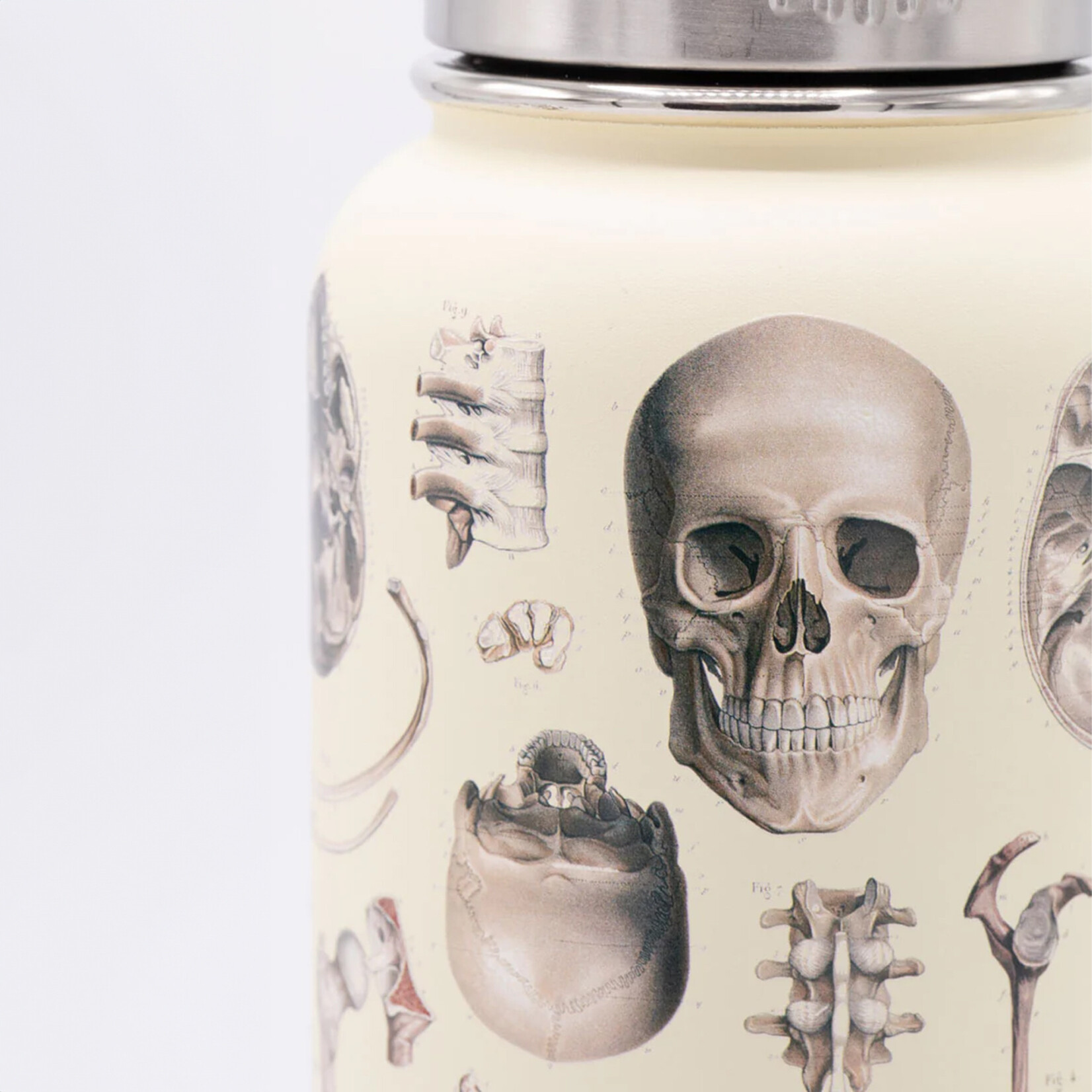 Cognitive Surplus Stainless Steel Bottle - Skeleton (32oz)