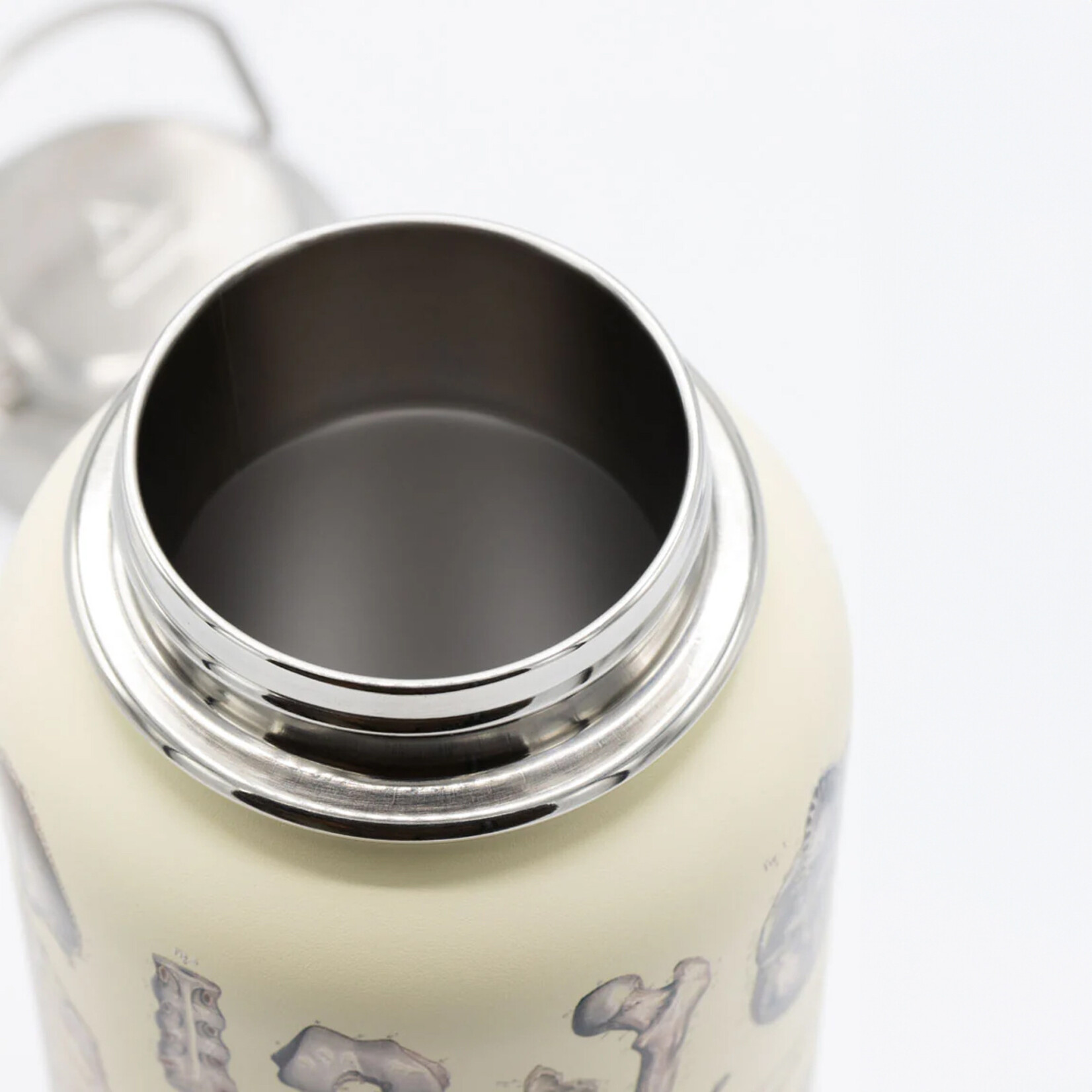 Cognitive Surplus Stainless Steel Bottle - Skeleton (32oz)