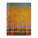 Peter Pauper Press Journal - Bookbound - Moonlit Aspens