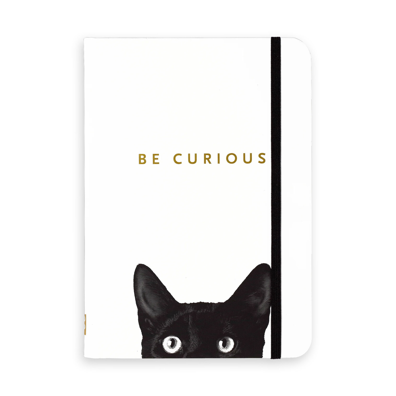 Peter Pauper Press Journal - Small - Curious Cat