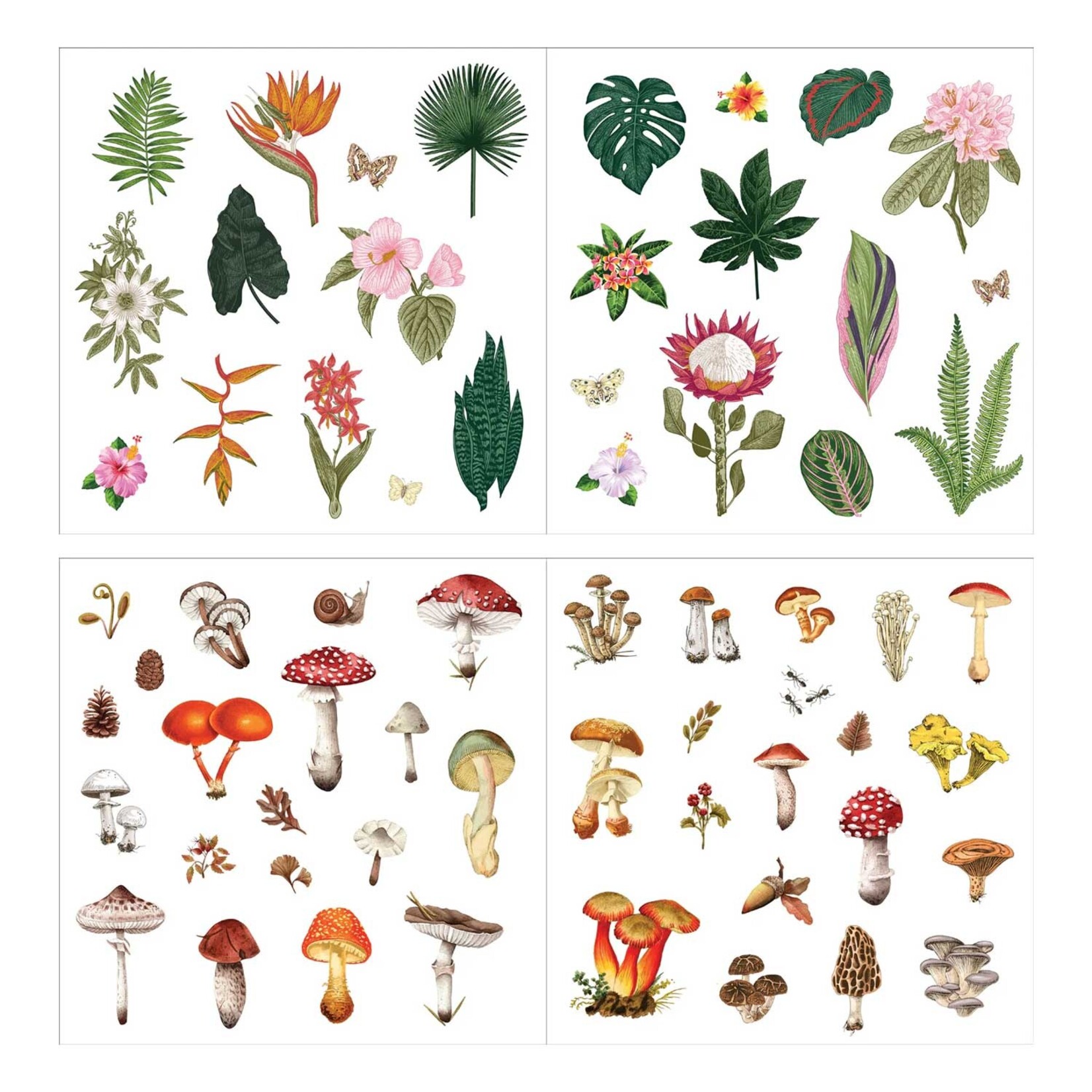 Peter Pauper Press Sticker Book - Bunches of Botanicals