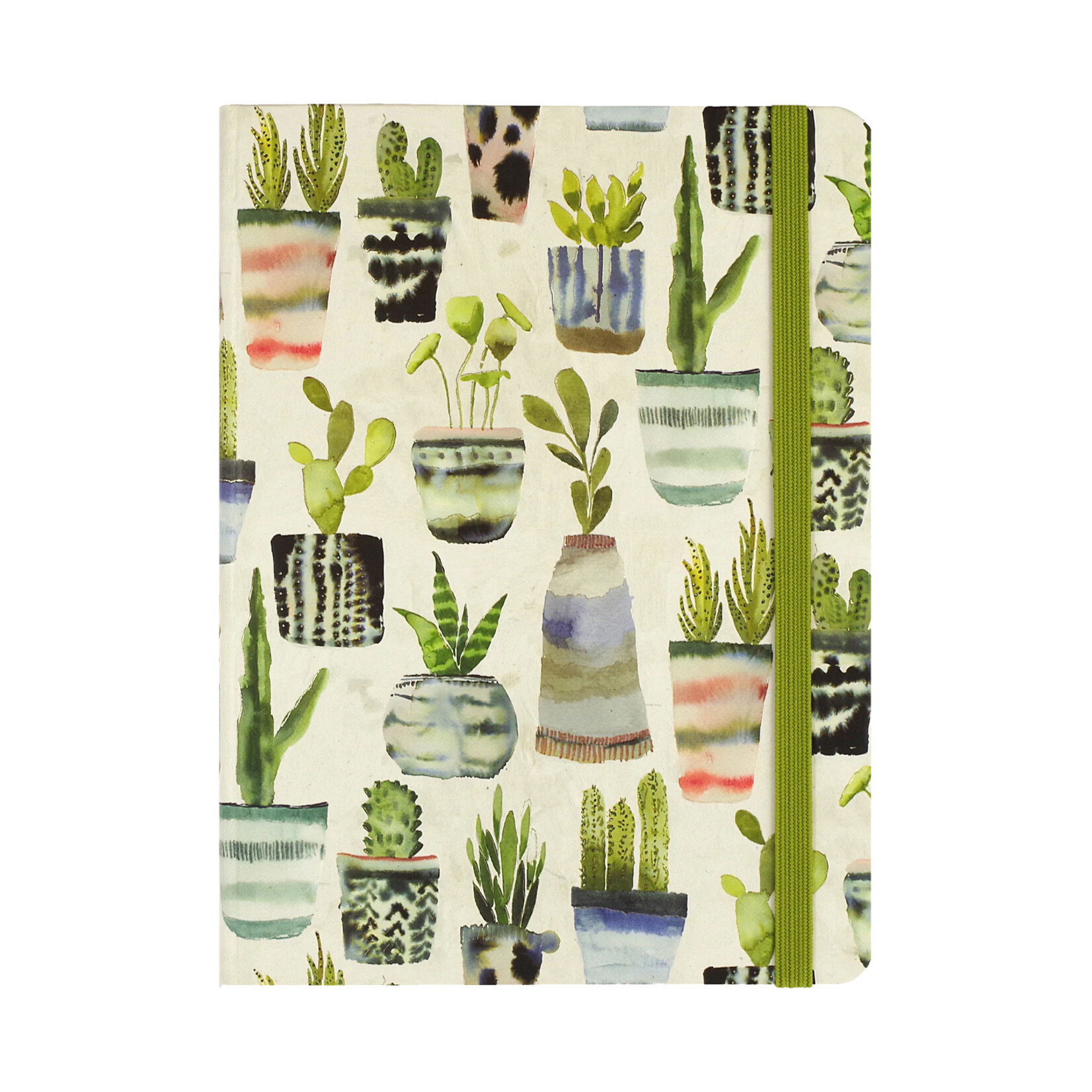 Peter Pauper Press Journal - Mid-Size - Watercolor Succulents