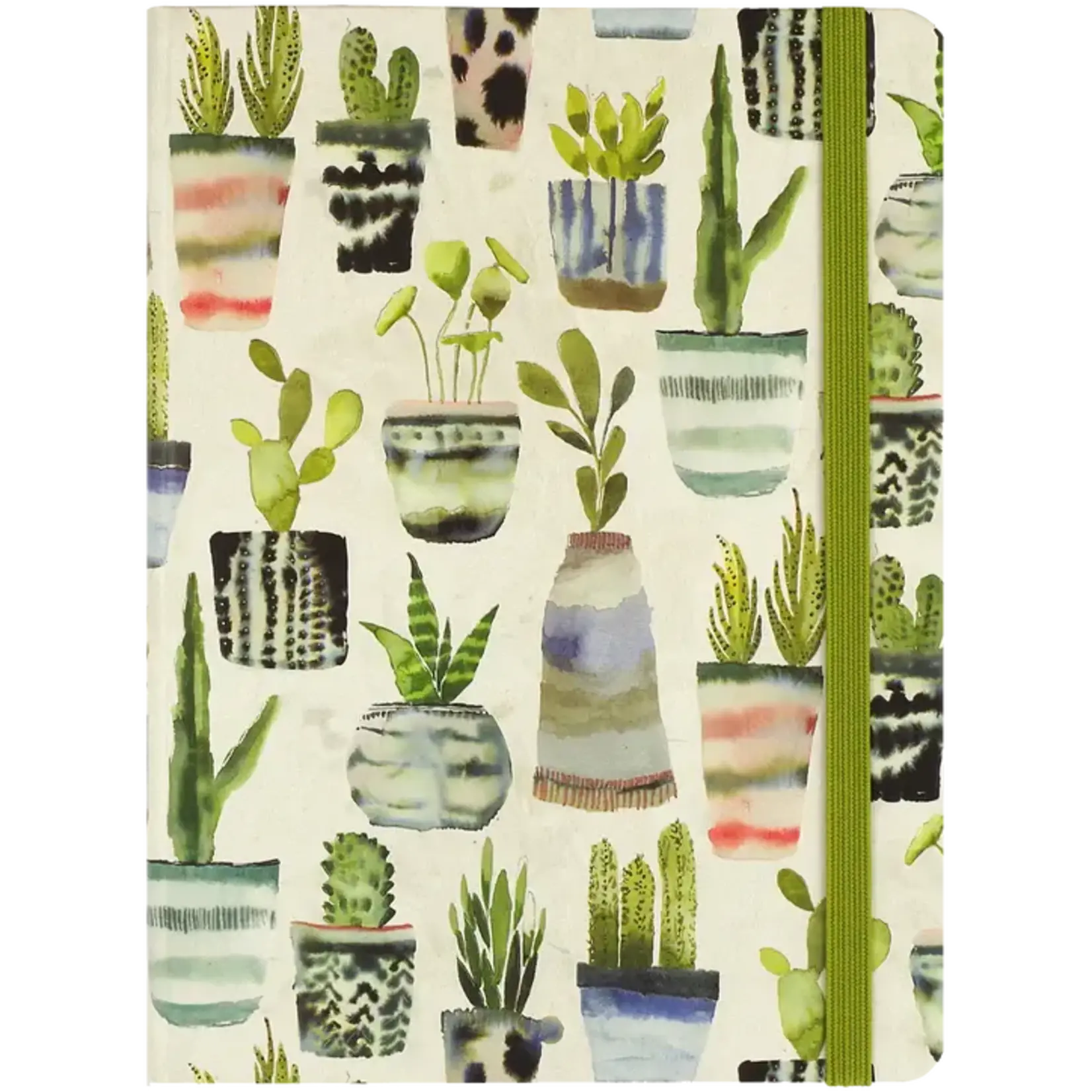 Peter Pauper Press Journal - Mid-Size - Watercolor Succulents