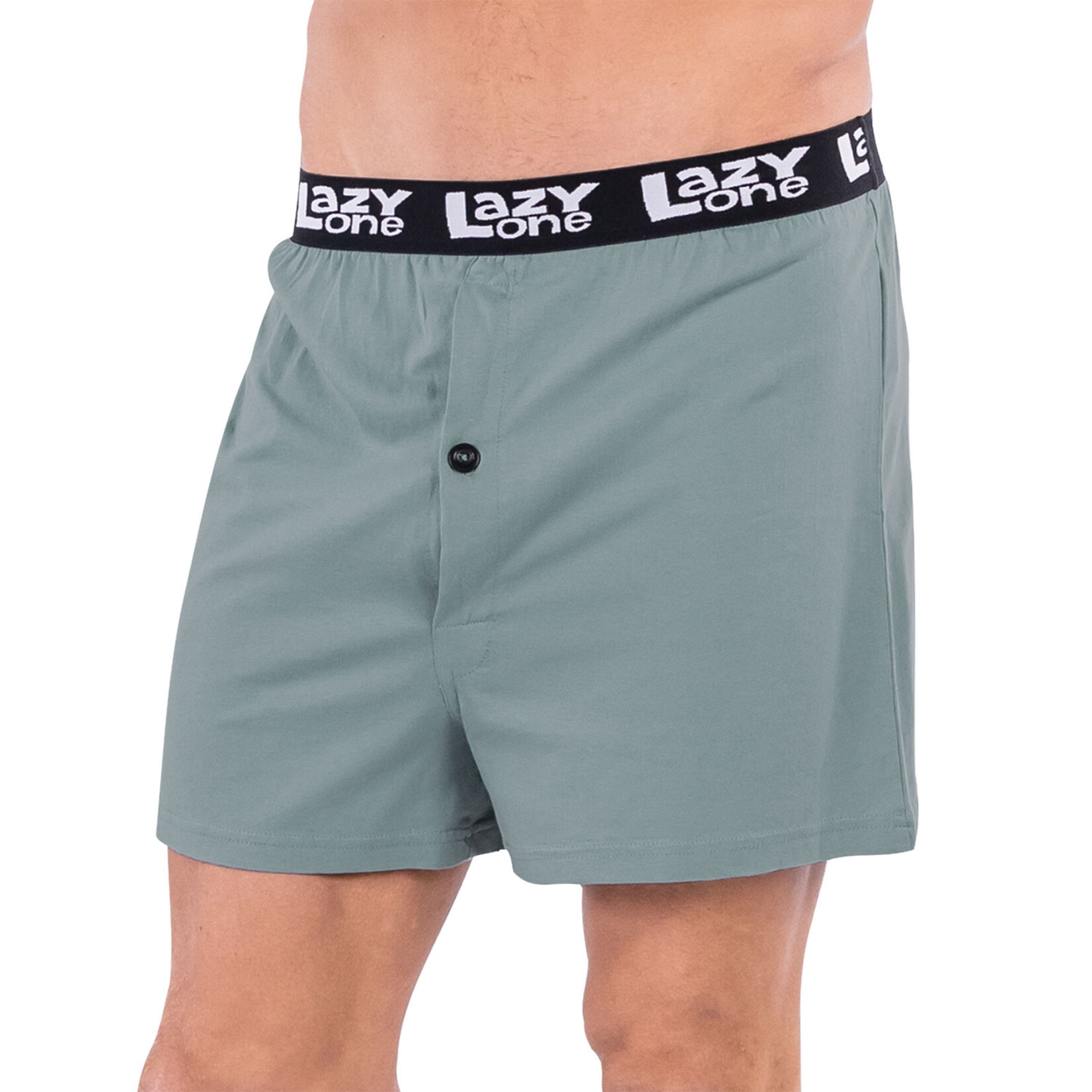 LazyOne Men's Boxer Shorts - Beriere