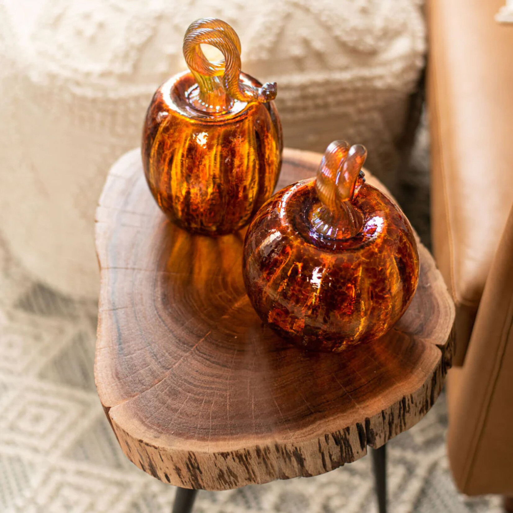 Kitras Pumpkin