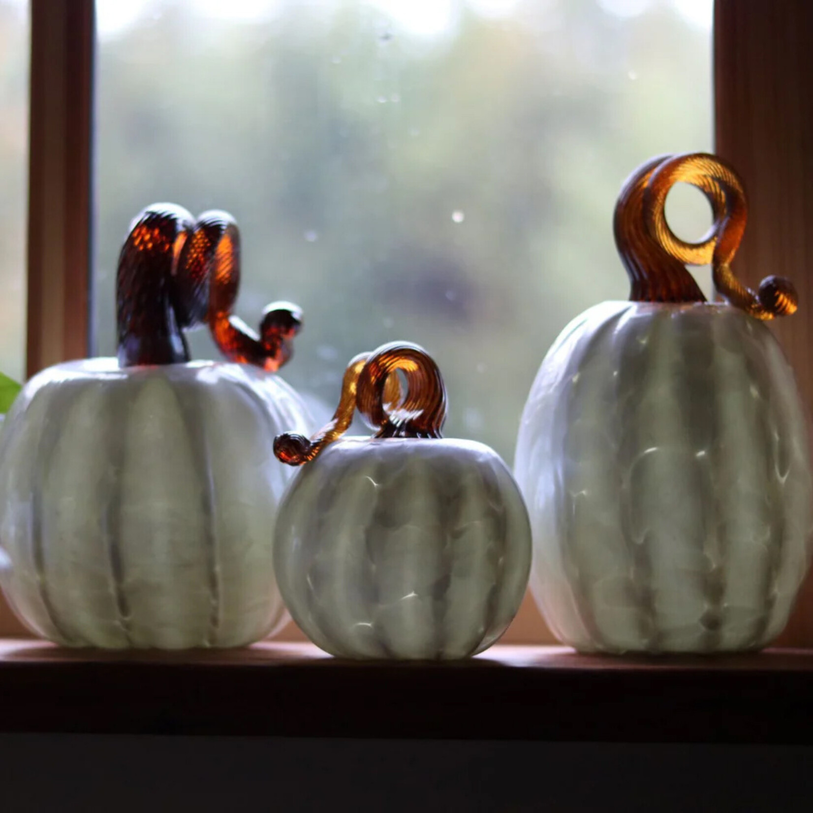 Kitras Pumpkin