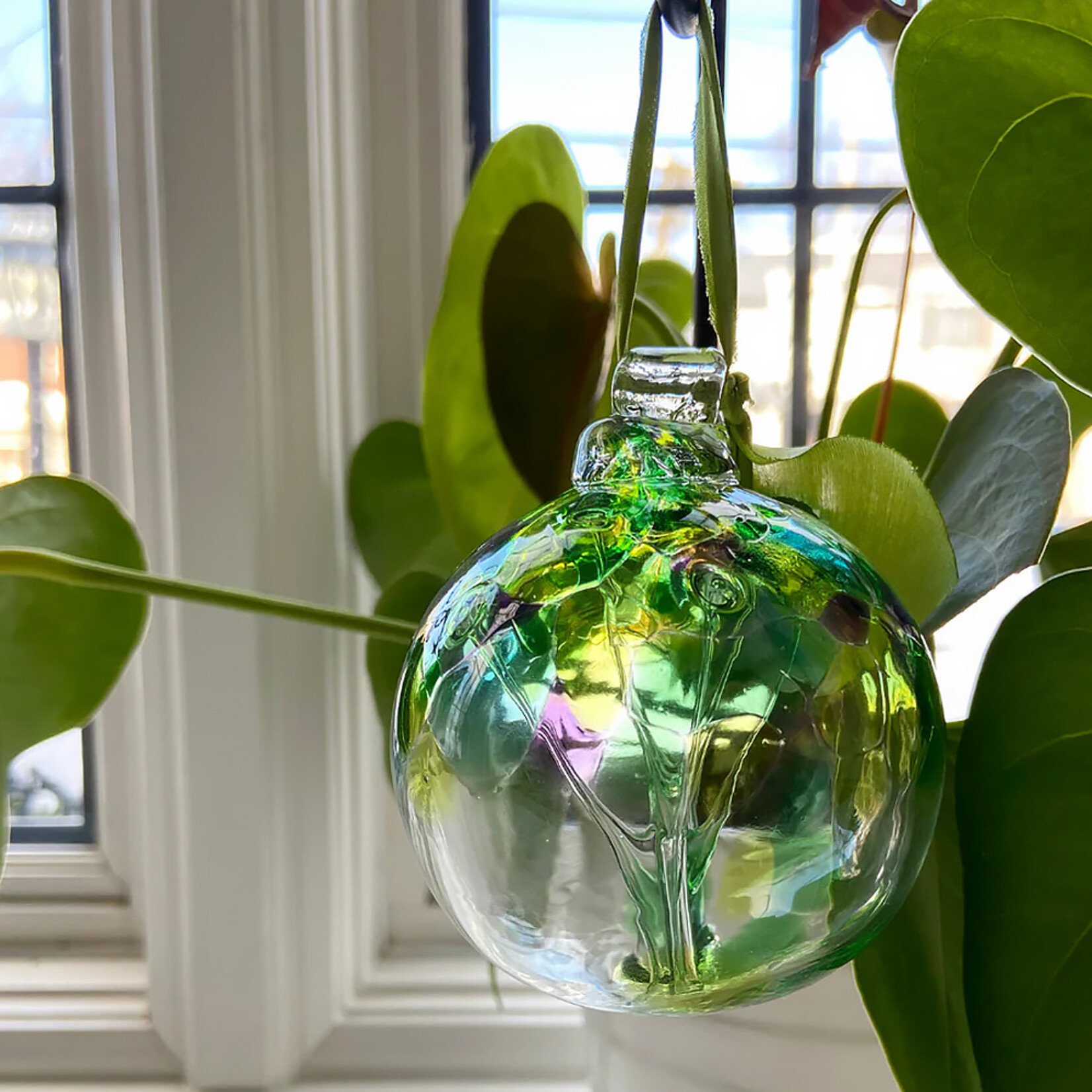 Kitras Tree of Enchantment Collection - Glass Orb - Assorted Styles