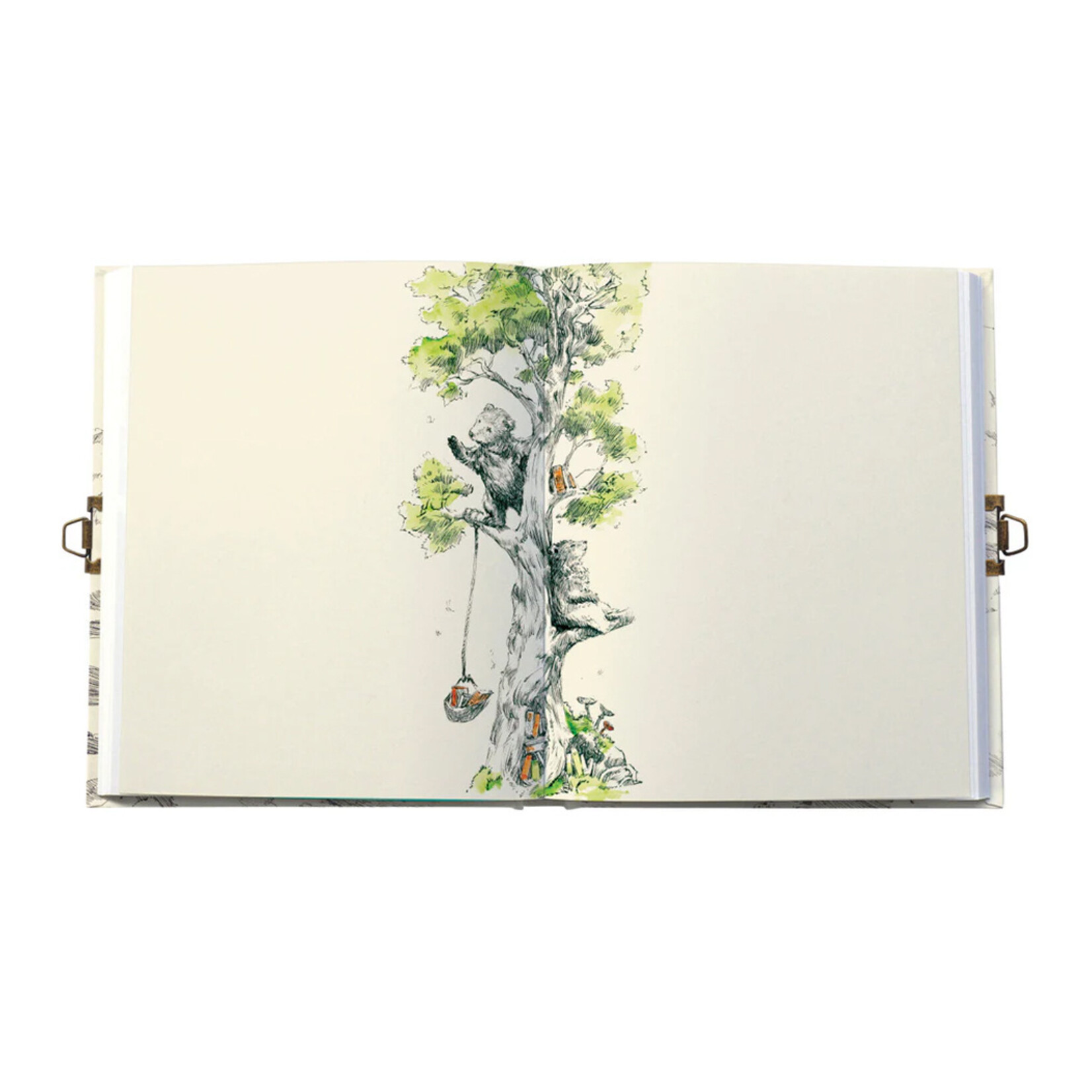 Roger la Borde Locking Journal - Flying Bear