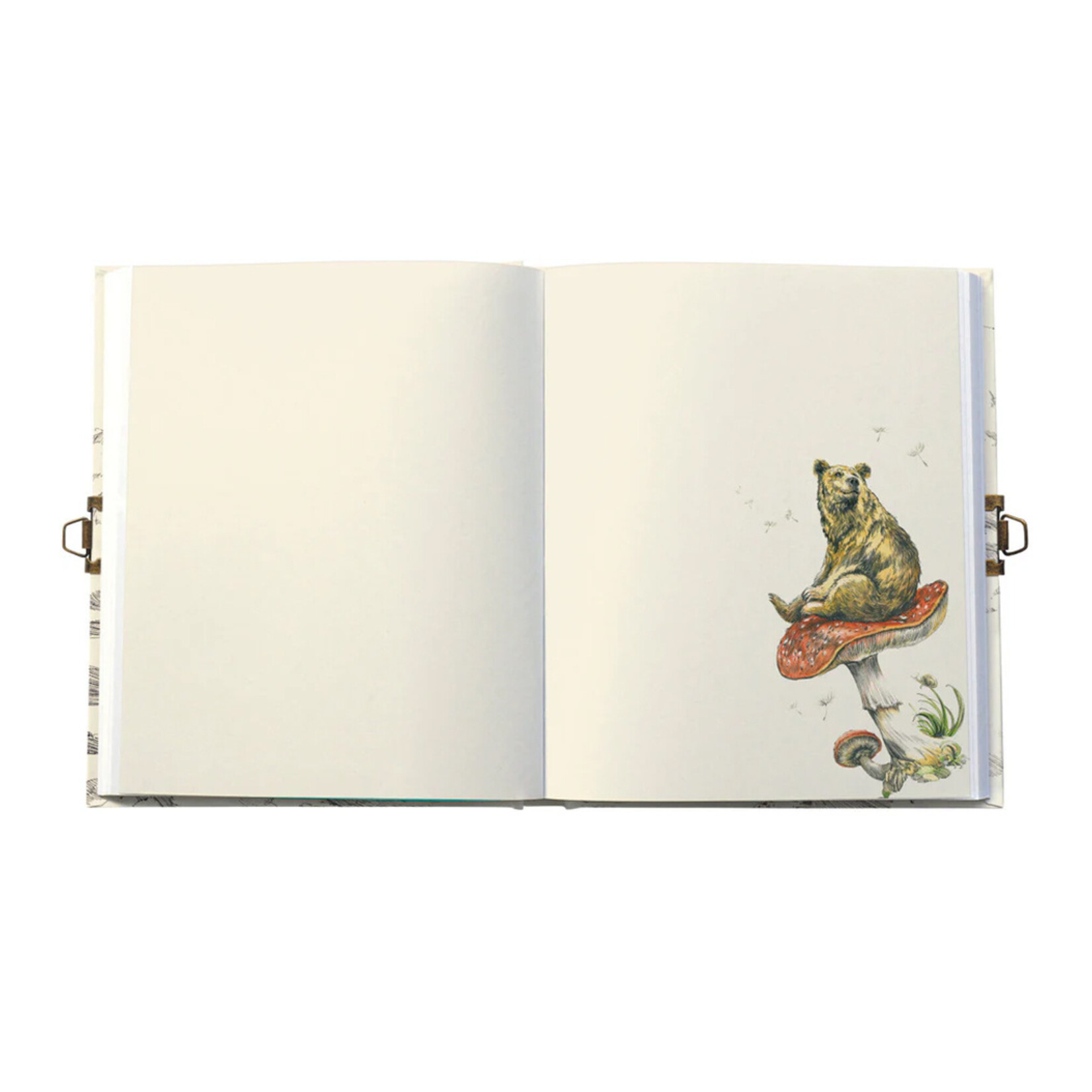 Roger la Borde Locking Journal - Flying Bear
